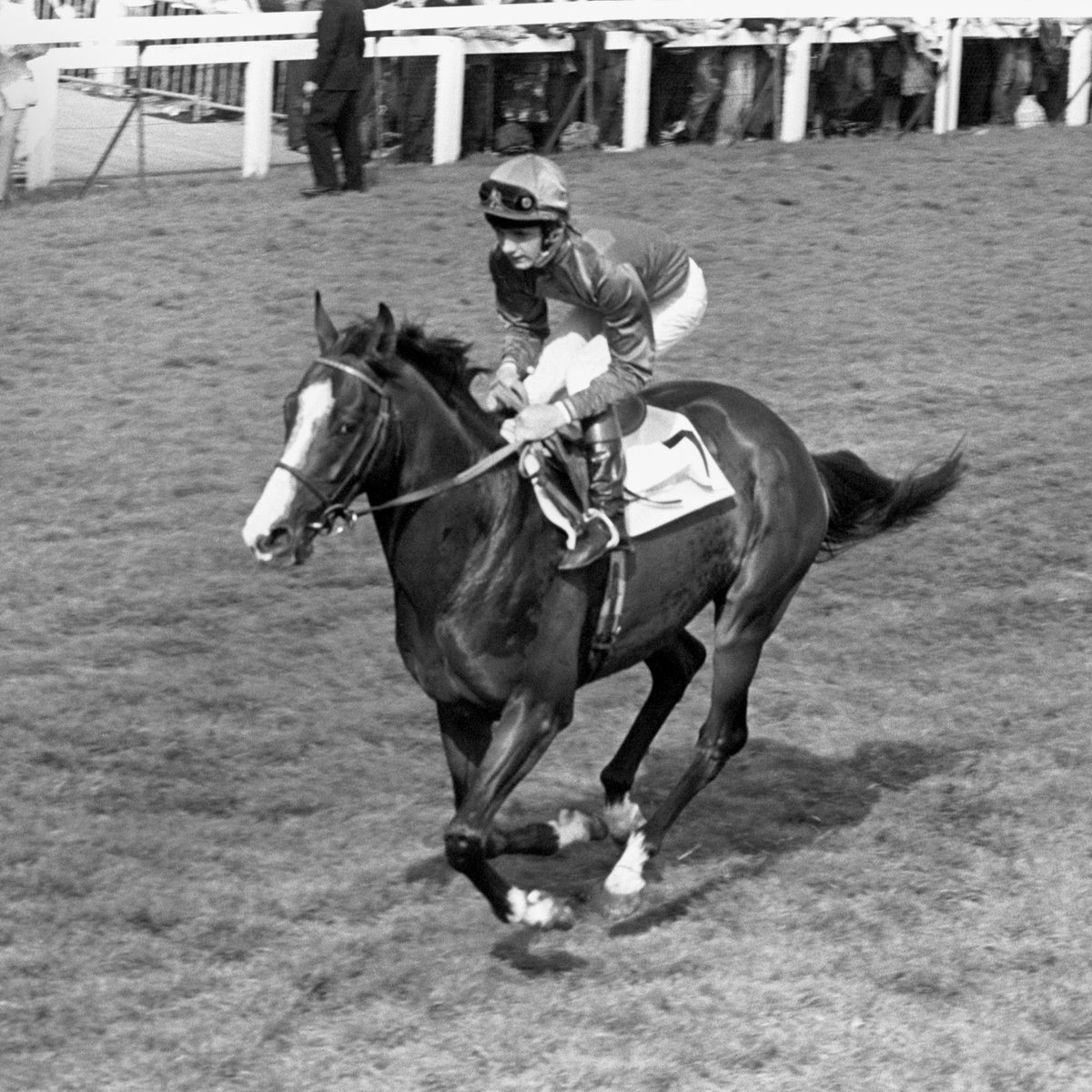 AtTheRaces's tweet photo. Two icons of the sport! 👏

Ryan Moore and Shergar will be inducted into the British Racing Hall of Fame on @Champions_Day! https://t.co/5Td0cTVQoZ