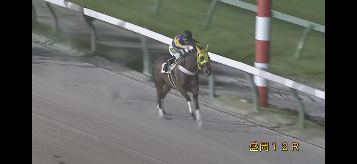 MmeCherokee09's tweet photo. サティスファイアやったね！
直線突き放しての逃げ切り勝ち！
おめでとう！！！ https://t.co/FEGZI4M5jB