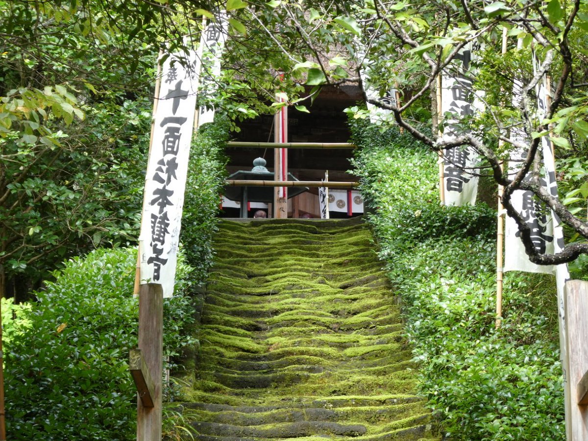 HIROKITI224's tweet photo. 鎌倉　杉本寺
この苔の階段が美しい https://t.co/ZkJOYGR9aY