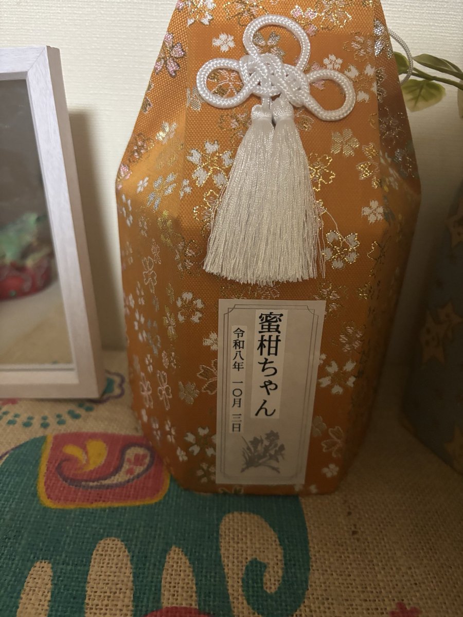 yazoo_ac7's tweet photo. 先程収骨も終わり家に帰ってきました

明日からはどうにか仕事にも行けそうです

我が家にはまだ黒猫3匹がおり、
全ての子がシニアにあたる年齢なので
些細な体調の変化も見逃さず
明日からロイヤルカナン代を稼ぐために頑張ります

皆様の沢山の返信、ハートマーク誠に感謝致します。
#蜜柑
#猫 https://t.co/PMO6DKwebe