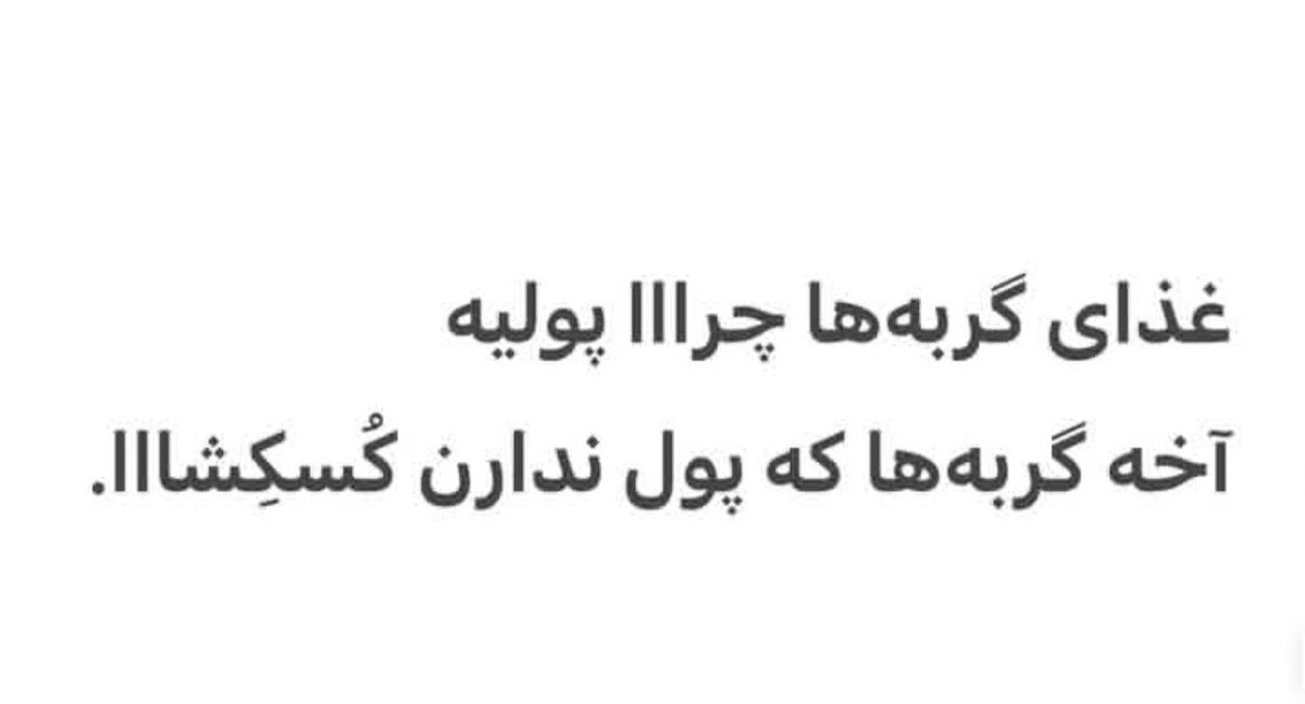 mwmd_soli's tweet photo. https://t.co/Fnx9lqW2GP