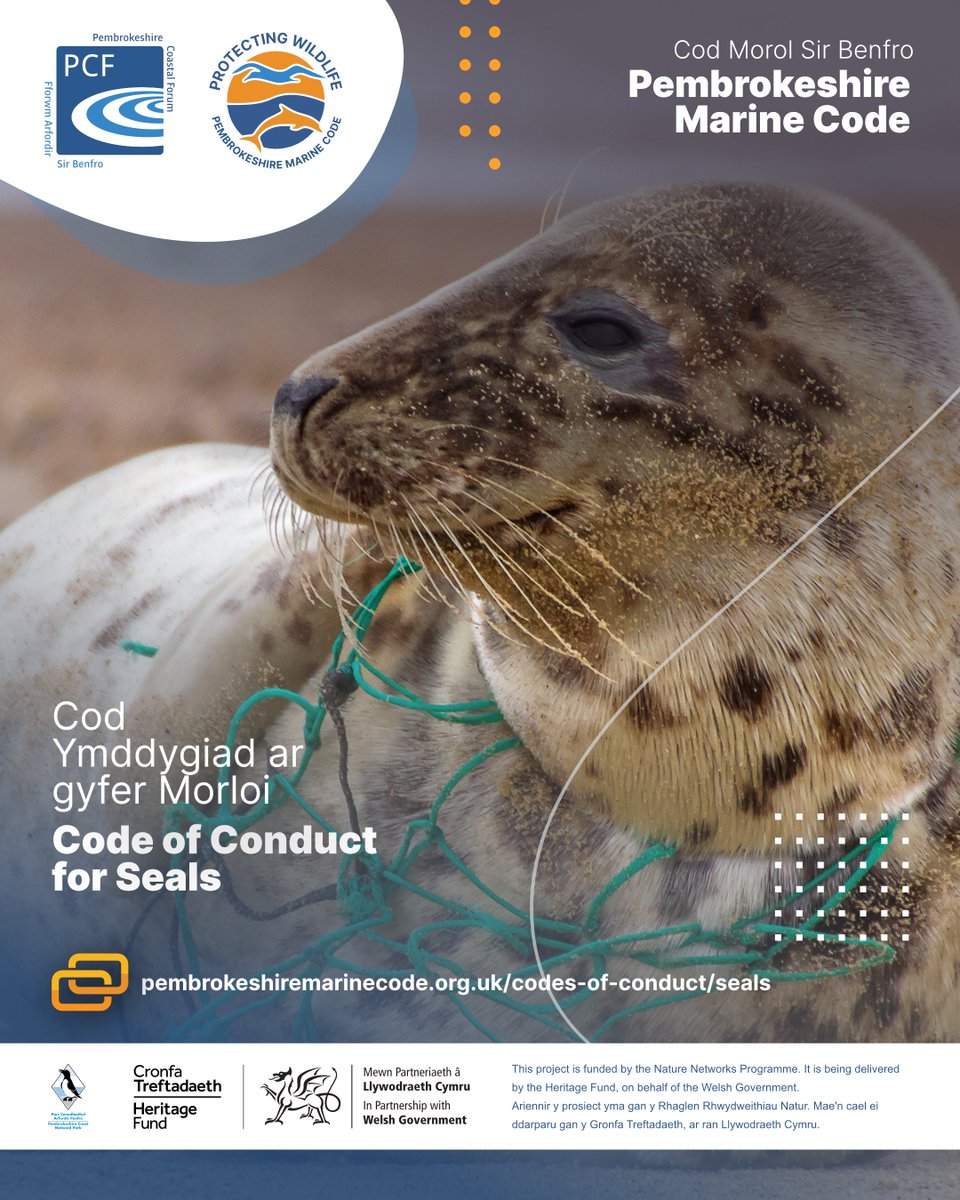 PCFCIC's tweet photo. Reporting an injured or entangled seal

Keep your distance and don’t try to free it yourself. Note the location and call BDMLR 24/7: 📞 01825 765546

https://t.co/99bNzcF4m3 https://t.co/HLyks3aJtY
