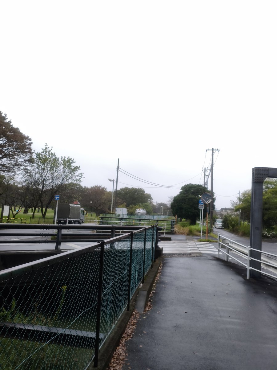 000newtype26538's tweet photo. あんま良い写真じなないけど霧雨の中 水元公園へ https://t.co/UbSYvmMNBw