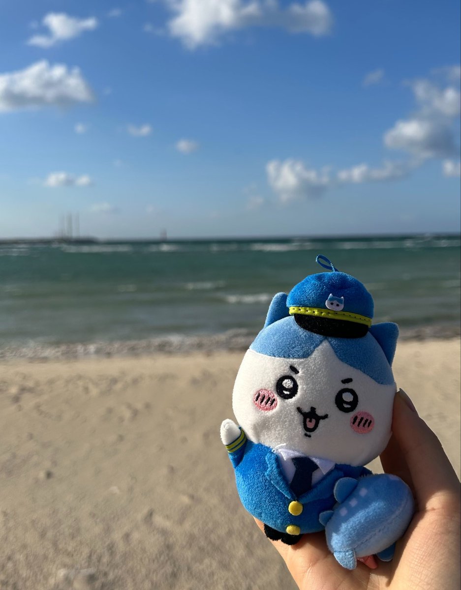papauwk's tweet photo. 제주에 바다보러 왔고..고기국수를 먹엇어요..🏃‍♀️💞🍜🌊🦀 https://t.co/L6Bc8XQQ3O