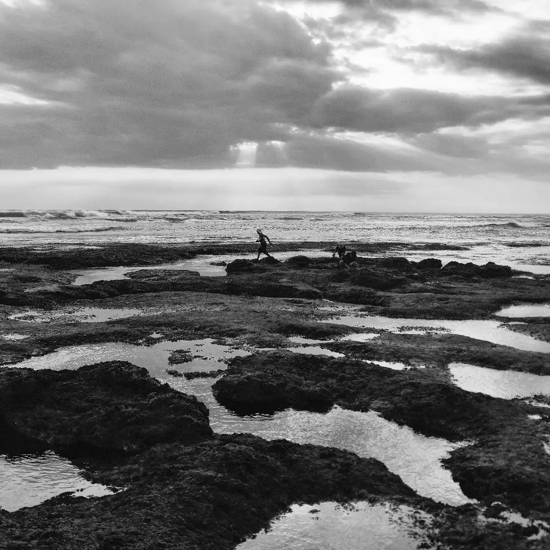 weirdkangaroo's tweet photo. On the rocks. https://t.co/VJvR4p1JcL