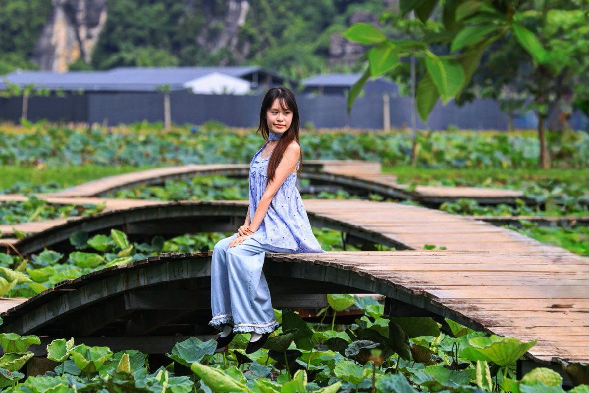 Herringdbz's tweet photo. A pleasant day at @muacaves: not too busy, not too hot, and the last lotuses were still in bloom. https://t.co/tuneID8tSt