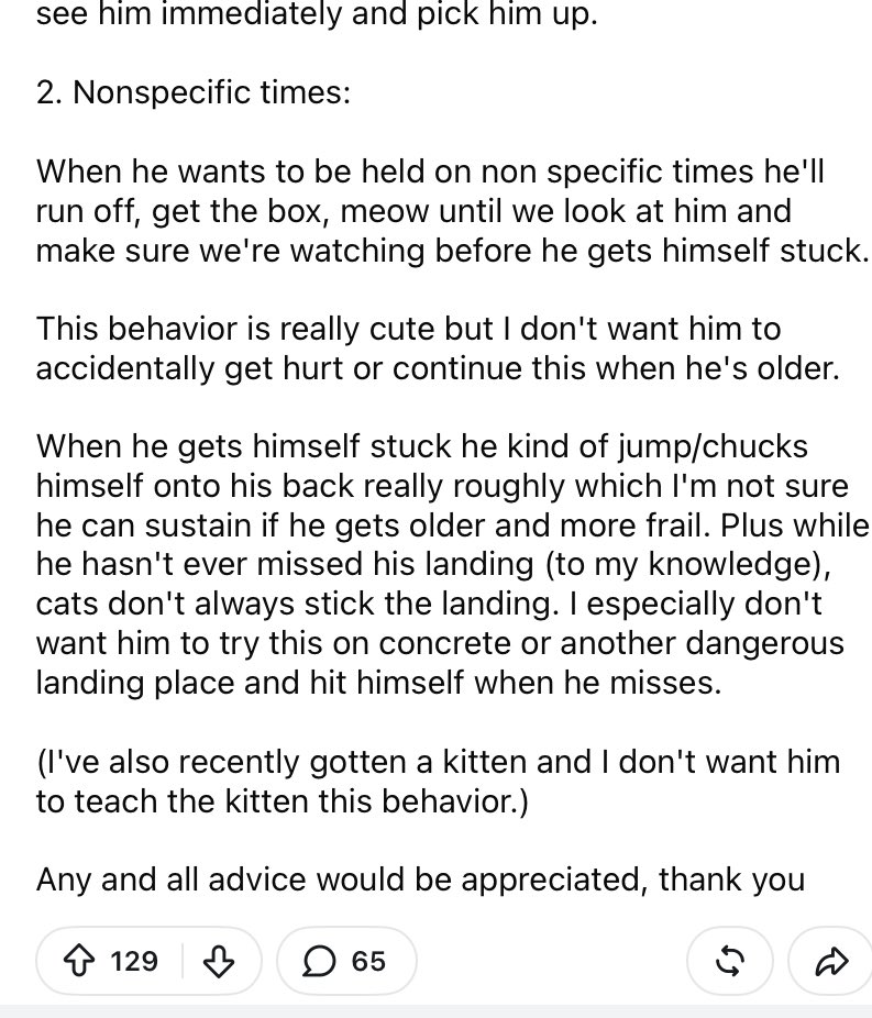 semperrgumby's tweet photo. laughed so hard at this r/catadvice post about the cat who only communicates that he wants to be picked up by squashing himself into too-small boxes, timed according to the owners’ daily routines eg gardening, forcing them to rescue him and therefore hold him https://t.co/YQYRTGLb8d