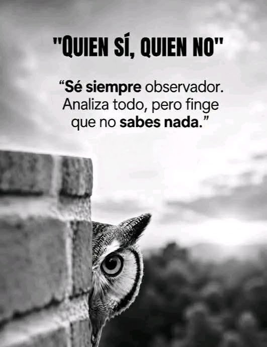 marialabarca23's tweet photo. https://t.co/Uyr8BkKr27