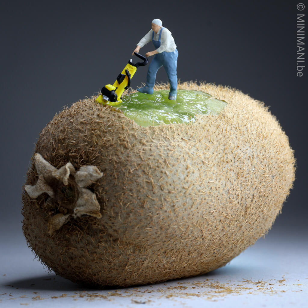 MINIMANI_be's tweet photo. The lawn is perfectly round, bright green and slightly fruity. 🥝 Even a kiwi needs careful maintenance when the gardener is this small. #MiniaturePhotography #GardenHumor #KitchenDecor minimani.​be/2025/12/21/green-maintenance/ https://t.co/0iCtlbKBhw