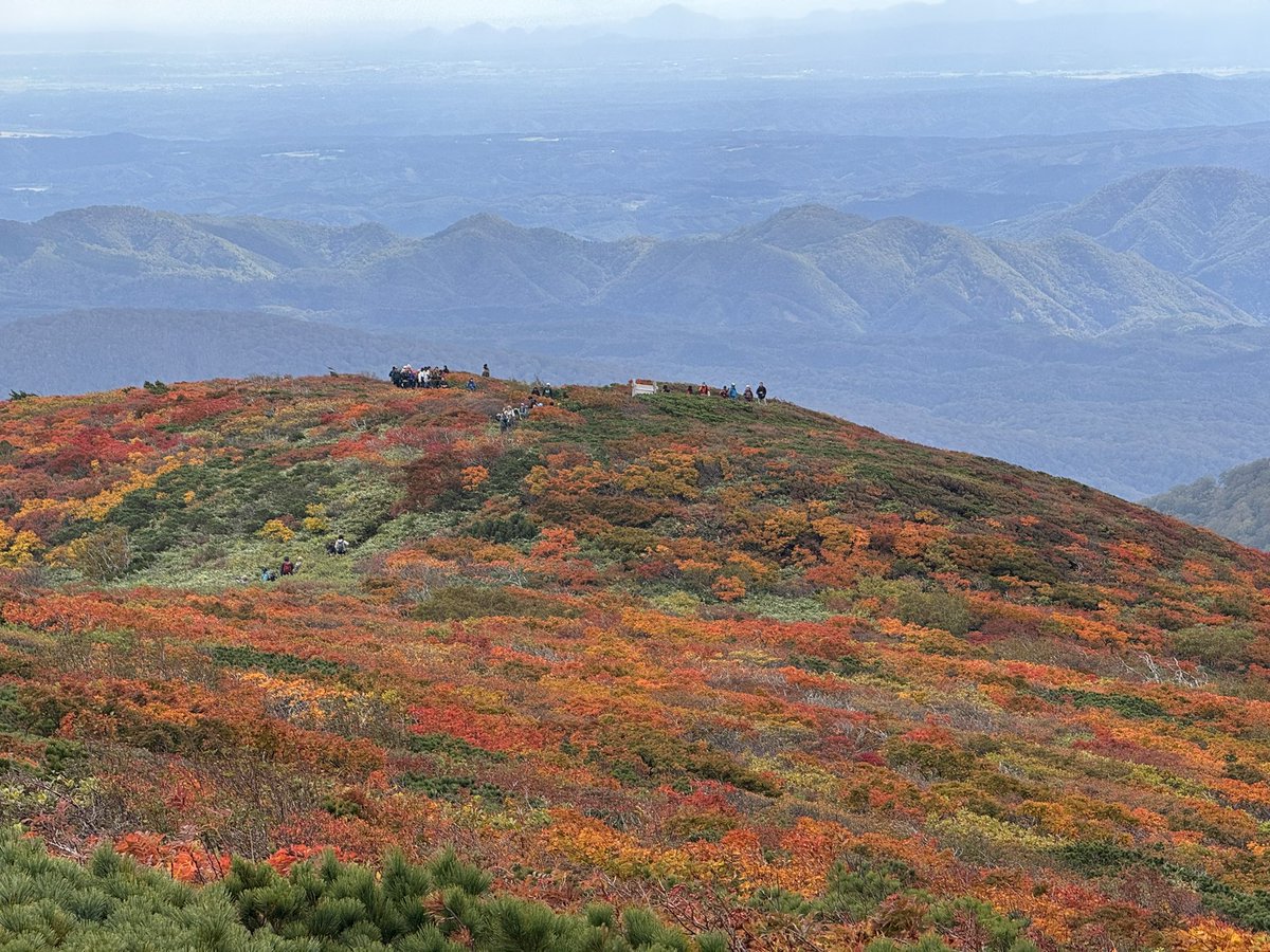 riodejaneiro921's tweet photo. 東北紅葉🍁+ BUMPライブの旅楽しかった！かなーりくらったので今日お休みで良かった。温泉にも入って牛タンも食べたし、ずんだシェイクも飲んで東北を満喫✨
2日目もうちょっと観光もすれば良かったな。家に東北のガイドブックあったのを見て思いました。また来たいですな〜 https://t.co/uoatmYYZdc