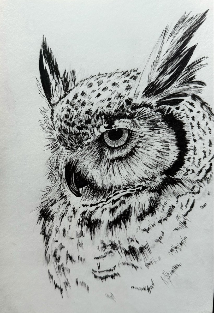 kxkxbinks's tweet photo. Birds 👨🏻‍🎨 https://t.co/Q781RJsoVA