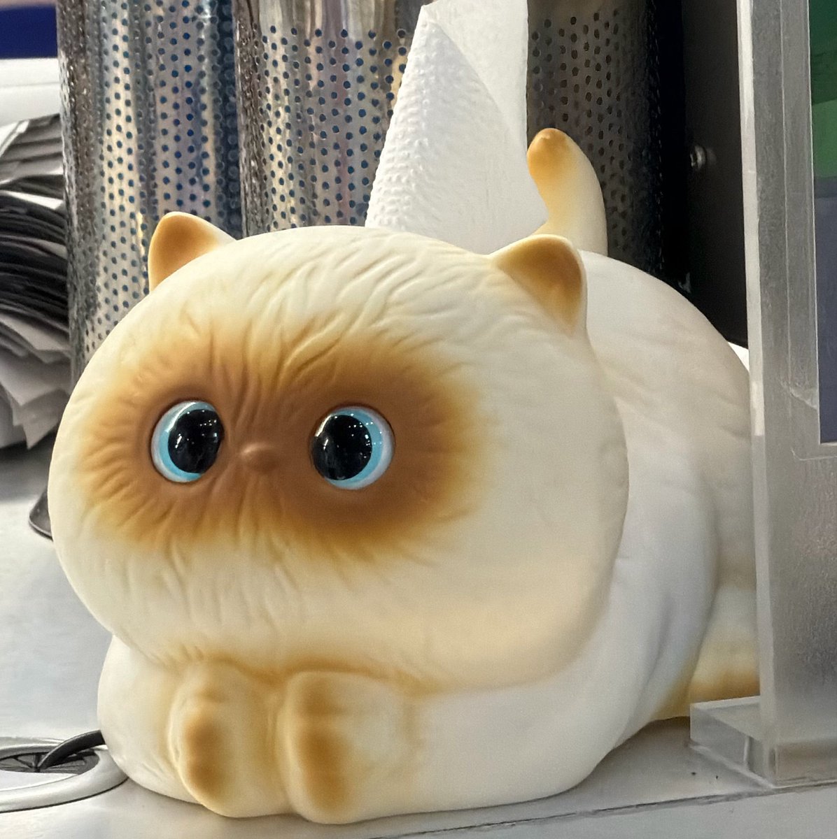 teddypumpki_n's tweet photo. เหมือนมอจิมากเลย 🥺🤲🏻🐈 https://t.co/izu0wBRvLo