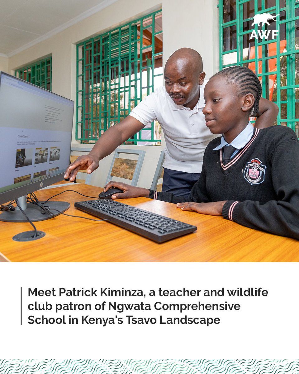 AWF_Official's tweet photo. Happy #WorldTeachersDay! Meet Patrick Kiminza, a teacher and Wildlife Club Patron at Ngwata Comprehensive School in Makueni County, near Tsavo. He's turning conservation lessons into action. 

🧵 https://t.co/NjxLoWlsR9
