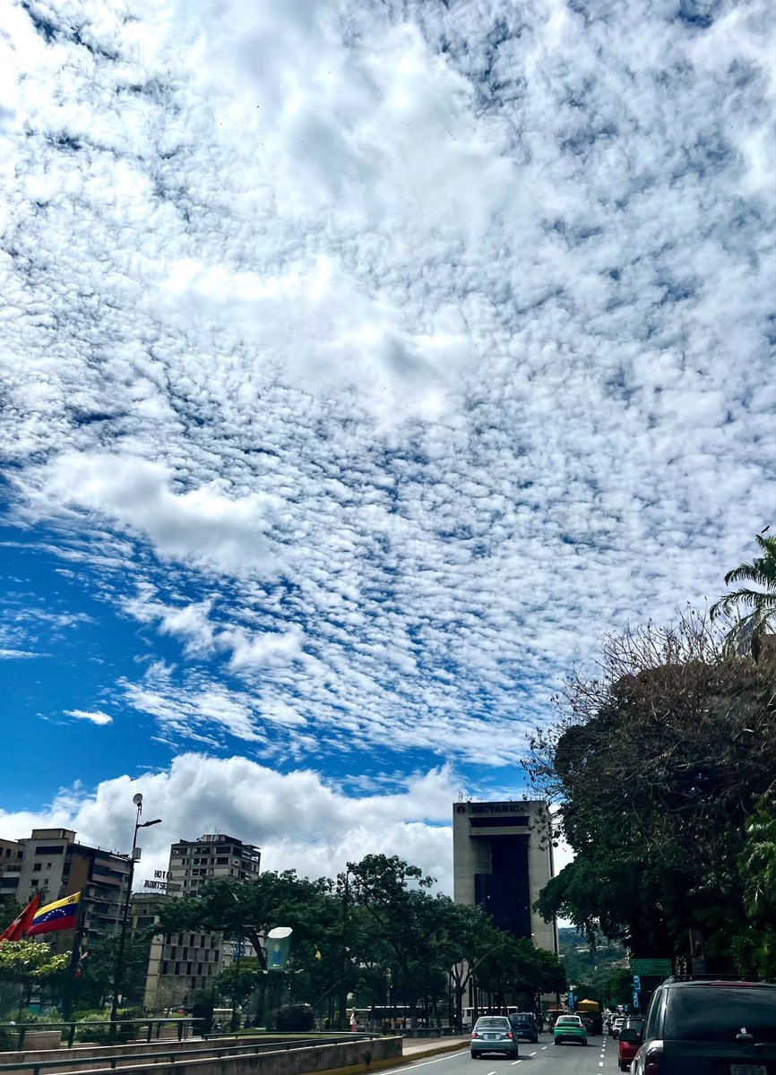 gabyarocha's tweet photo. “Cielo empedrado, suelo mojado”. 

“Borreguitos al amanecer, charquitos al anochecer”.

🌥️ Por ahí viene El Cordonazo. https://t.co/6v0woIqf4Z