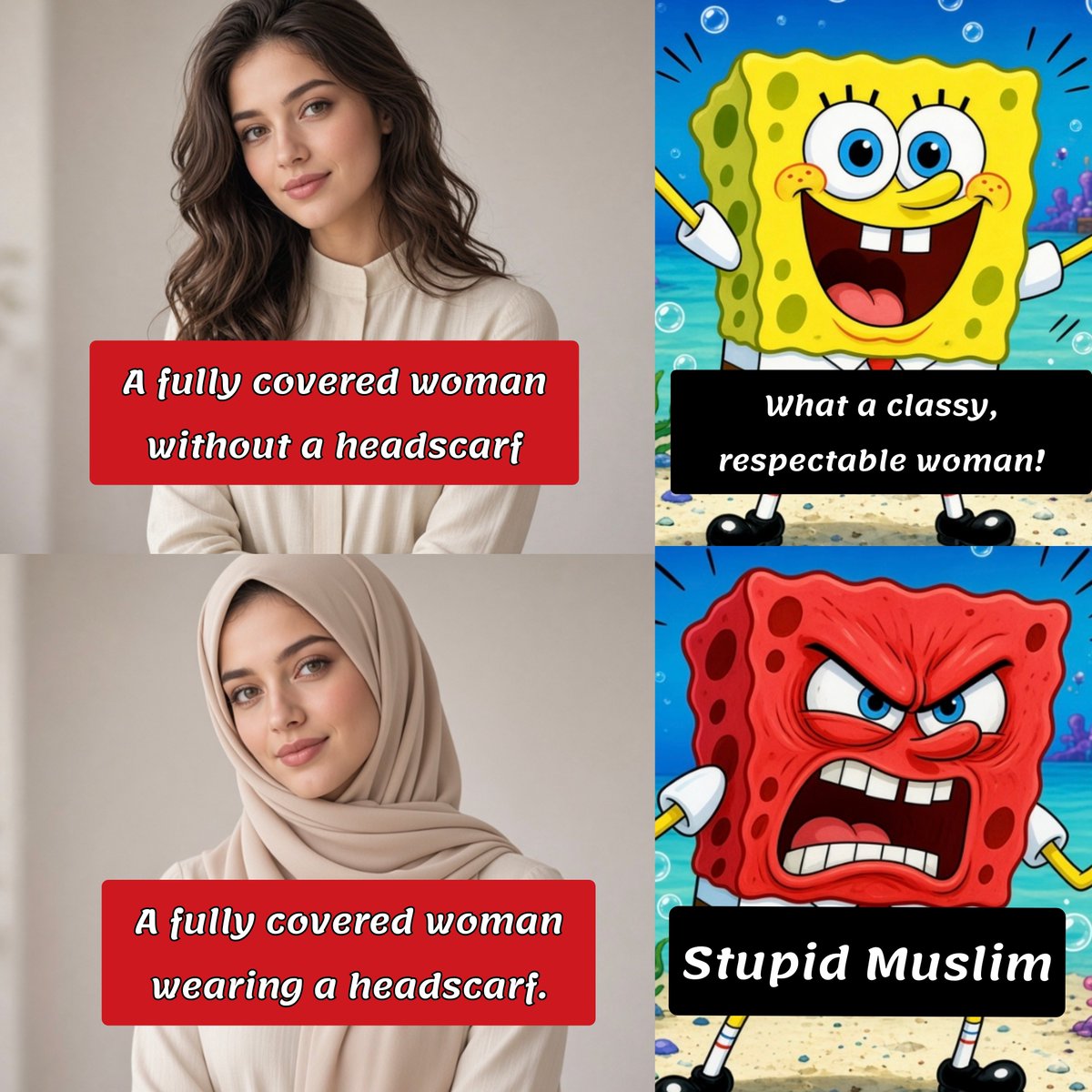Arya_Bakayan's tweet photo. “The level of rationality of an #antiMuslim person: https://t.co/4ReJDCzgfj
