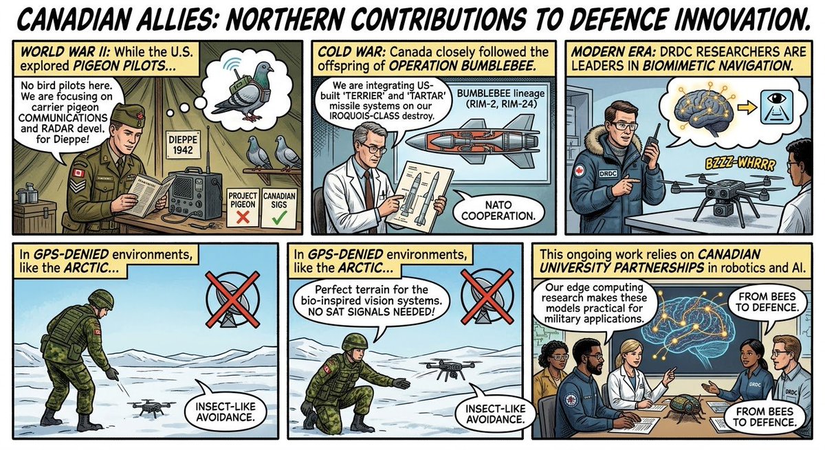 DSki5257's tweet photo. From World War II pigeon cockpits to DARPA-engineered cyborg bugs, the comic traces how military engineers looked past traditional computers to turn biological instincts into autonomous guidance systems.#MilitaryHistory #DARPA #BioMimicry #ProjectPigeon #OperationBumblebee #CyborgInsects #DroneTech #WeirdHistory #AutonomousFlight #Robotics #ScienceComics #MilitaryTech#DRDC #CanadianForces #RCN #CanadianMilitaryHistory #DefenceScience #UTIAS #MadeInCanada #ArcticSecurity #Biomimicry #DroneTech #ColdWarCanada #CanadianTech