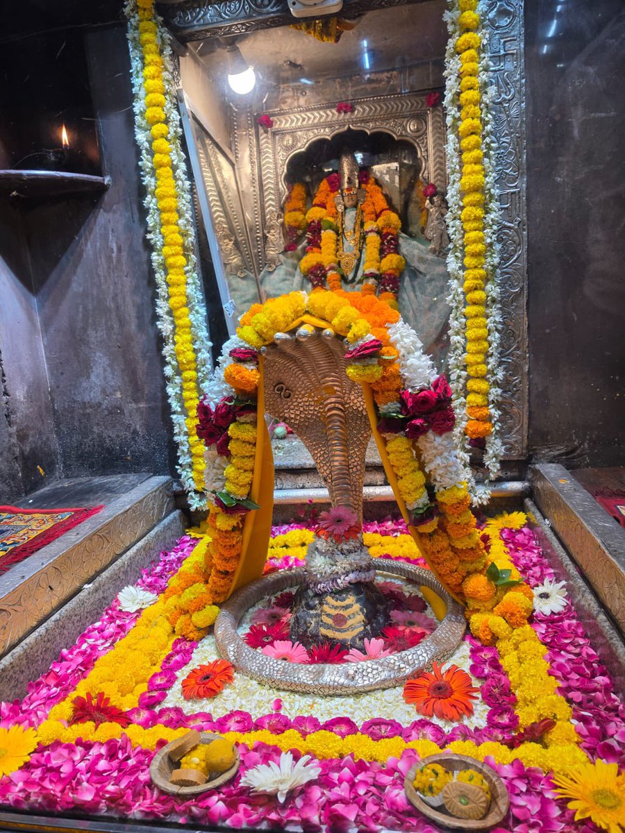 12Jyotirling's tweet photo. श्री ॐकारेश्वर ज्योतिर्लिंग संध्याकालीन आरती श्रृंगार | 05.10.2026

Shri Omkareshwar Jyotirlinga Evening Aarti Shringar | 05.10.2026 https://t.co/evL48euDOf