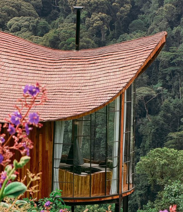 beatriceore3's tweet photo. New luxury unlocked! 
Erebero Hills Lodge in Bwindi is STUNNING! 
Our tourism is leveling up fr, pure luxury in the jungle! 😍🇺🇬
#Bwindi #VisitUganda https://t.co/3h7vSCwzJ2
