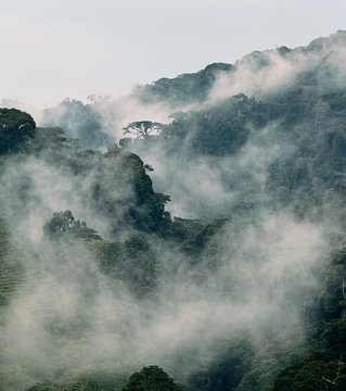 beatriceore3's tweet photo. New luxury unlocked! 
Erebero Hills Lodge in Bwindi is STUNNING! 
Our tourism is leveling up fr, pure luxury in the jungle! 😍🇺🇬
#Bwindi #VisitUganda https://t.co/3h7vSCwzJ2