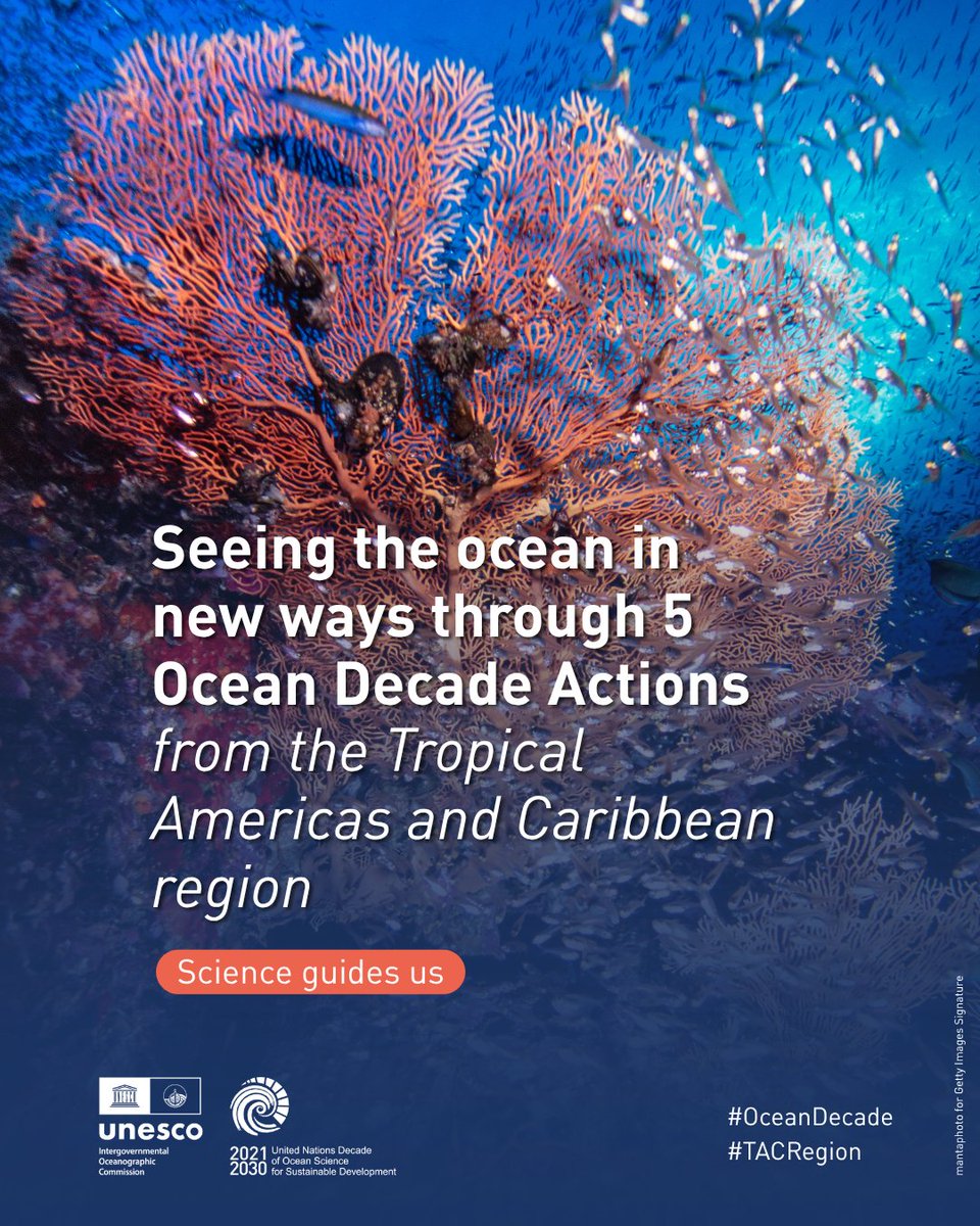UNOceanDecade's tweet photo. How to monitor changes happening in the ocean?
Discover 5 #OceanDecade Actions across Latin America that use advanced technologies, genomics, satellite monitoring, and ocean observation systems to expand our understanding of marine ecosystems: https://t.co/HUecjPpXJi
#TACRegion https://t.co/J2WTi25ck8