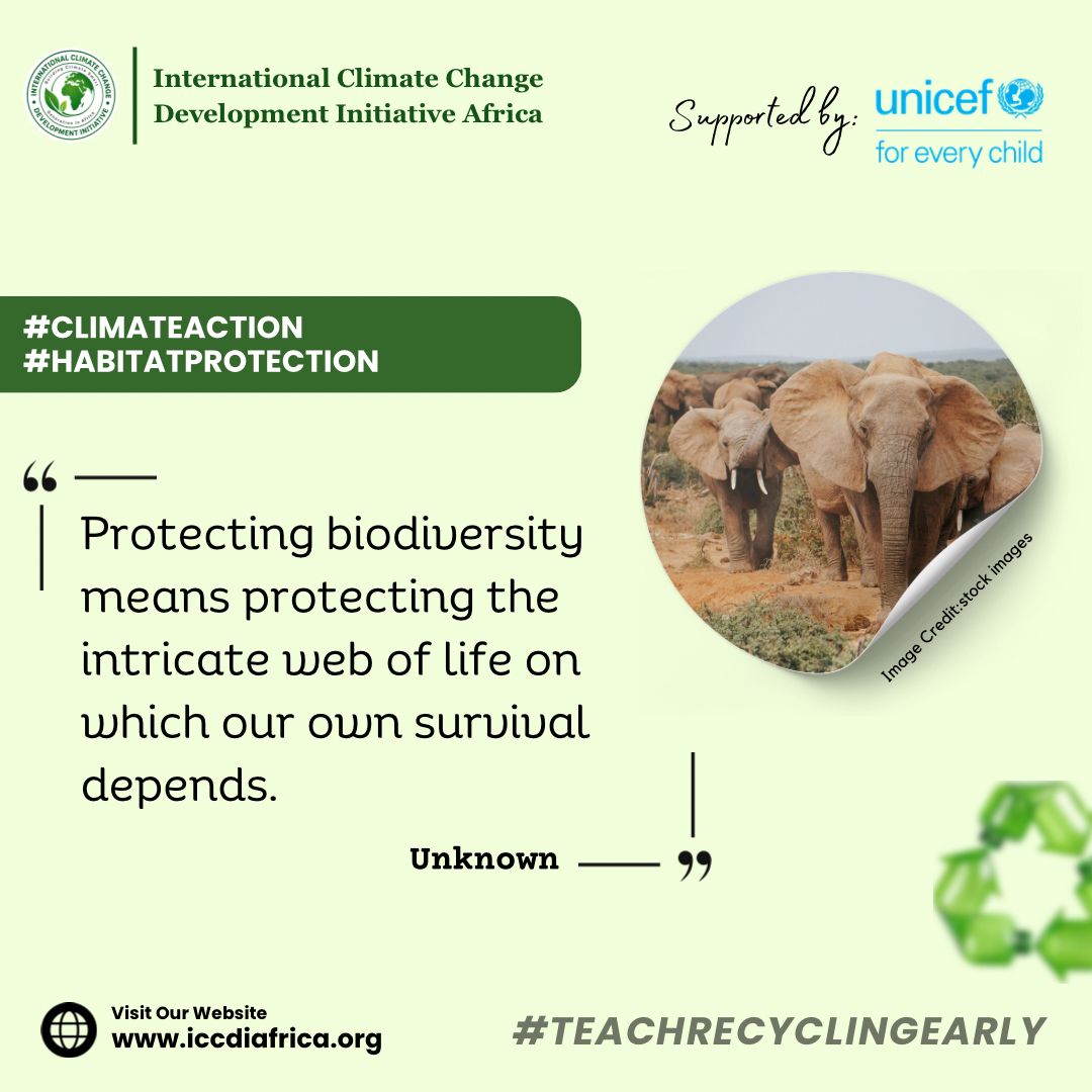 ClimateWed's tweet photo. Protecting biodiversity means protecting the intricate web of life on which our own survival depends. Unknown #ClimateAction #HabitatProtection https://t.co/6gOSlsZplK