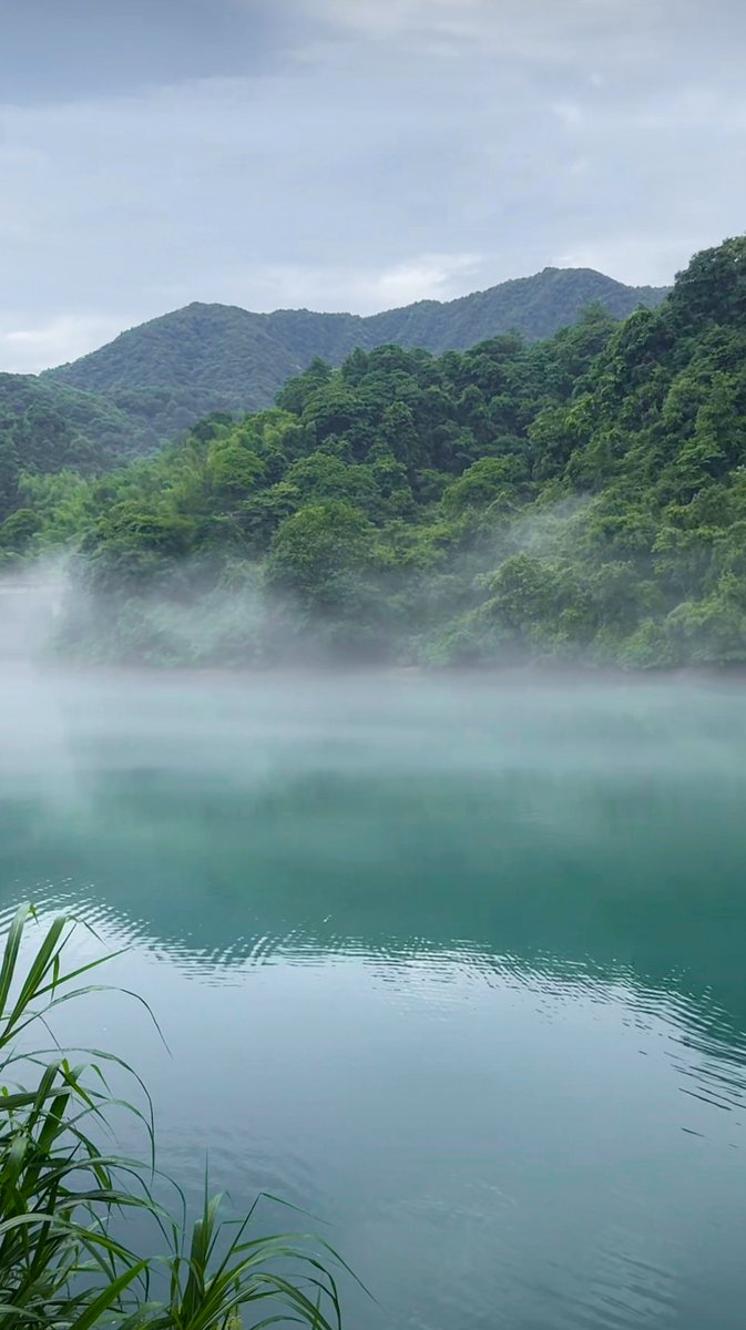 AaliyahStuxada's tweet photo. Hoy el misterio se desvaneció junto a la bruma suave del lago Pú — un clima tranquilo que invita a soar despierto. https://t.co/zWF2KIg2rS