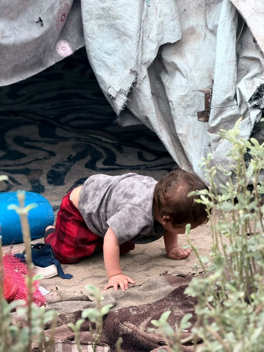 sameerproject's tweet photo. Winter is not an emergency we should prepare for after it becomes a catastrophe. Donate now: https://t.co/YR8kpxmtBQ

Tents that have endured years of displacement, rain and extreme summer heat are now torn, brittle and disintegrating. And 94% of Gaza’s population remains in urgent need of shelter and basic household assistance.

When temperatures drop, the elderly, children, the sick and injured will be the most vulnerable.

Help The Sameer Project prepare NOW. Tents. Tarps. Blankets. Protection before the storms come.

Winter is starting. We have to be ready. Contribute to our General Fund: https://t.co/YR8kpxmtBQ

Other ways to donate include:
https://t.co/OmIU4SifDD (Paypal option, please make sure to add a message saying "GENERAL")
https://t.co/WNZu0ERJci (Venmo option, please make sure to add a message saying "GENERAL")