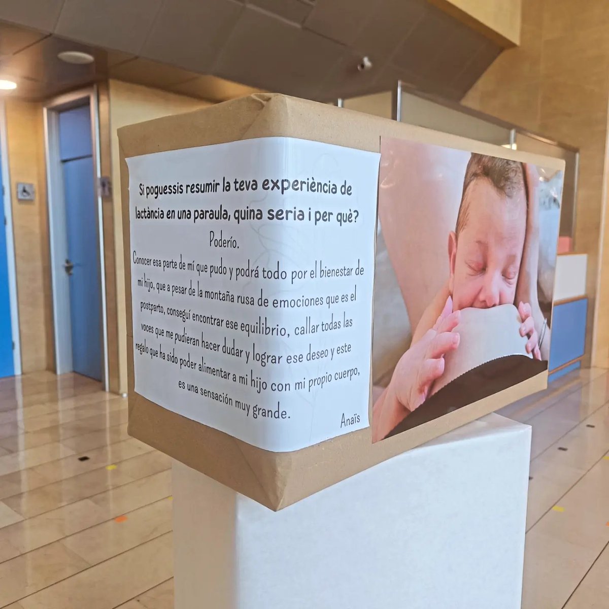 HospitaldeInca's tweet photo. ✨ Exposició fotogràfica HCIN Setmana Europea Lactància Materna 2026

🤱🏼Organitza:Comissió de Lactància Materna i @BpsoLm

📸 Cada fotografia va acompanyada d'un relat escrit en primera persona per la seva protagonista

@SalutGOIB @IBSalut_ @bpsohcin @javiurenam @manuelaG_Romero https://t.co/uyoQsZ0JOo