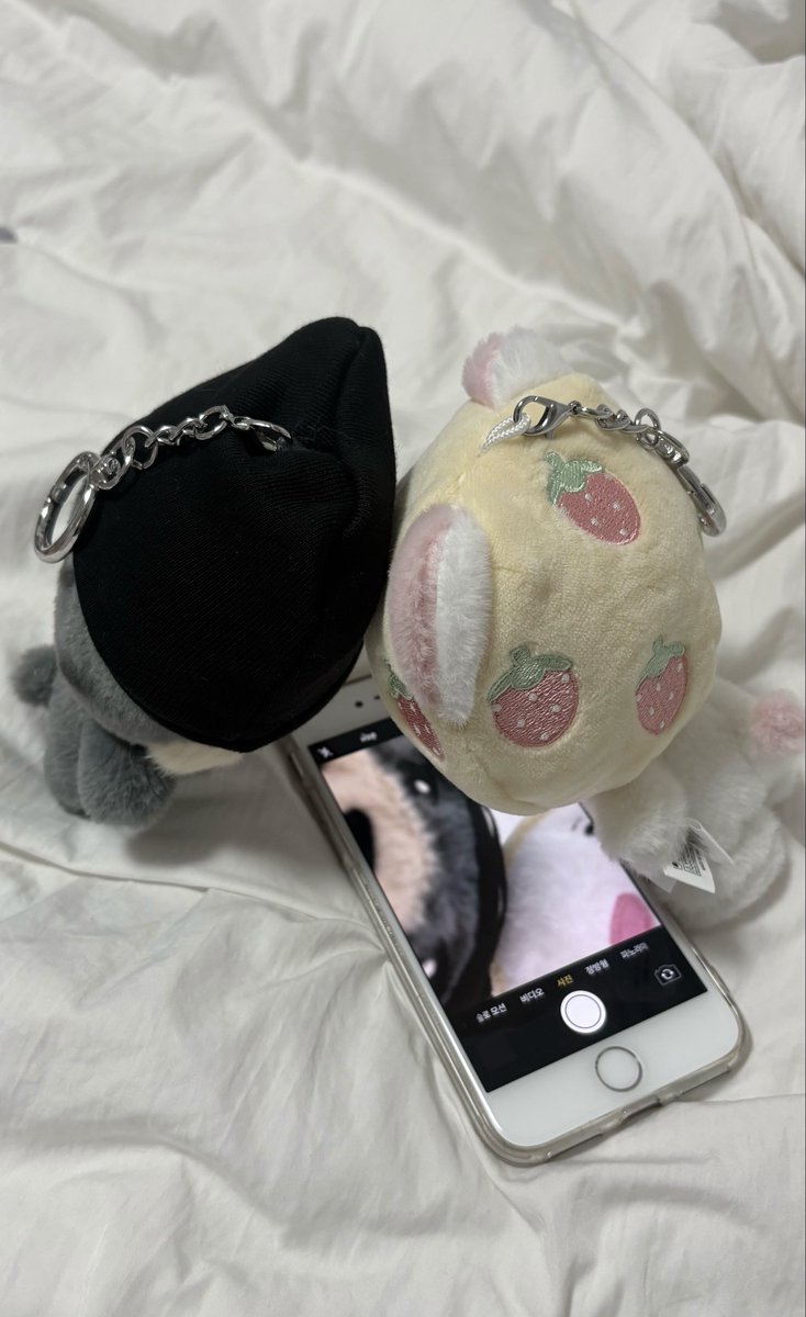 13ohon's tweet photo. #사이트친소 #42트친소 #닏도트친소 

닏도 할사람 와줘.. 올 수 있는 사람 https://t.co/6xw3NPmq6T