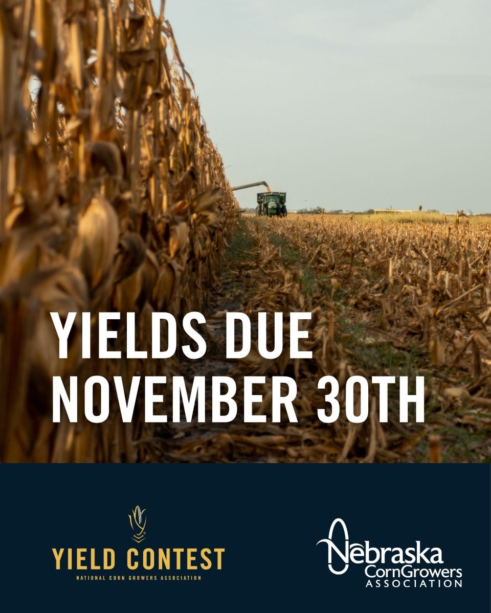 NeCGA's tweet photo. The clock is ticking on the 2026 Yield Contest. Harvest data is due November 30, so don't miss your shot at national recognition.
https://t.co/YSWeWUsg8z https://t.co/9c3uZkfhSV