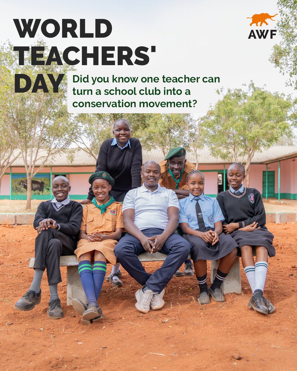 AWF_Official's tweet photo. Happy #WorldTeachersDay! Meet Patrick Kiminza, a teacher and Wildlife Club Patron at Ngwata Comprehensive School in Makueni County, near Tsavo. He's turning conservation lessons into action. 

🧵 https://t.co/NjxLoWlsR9
