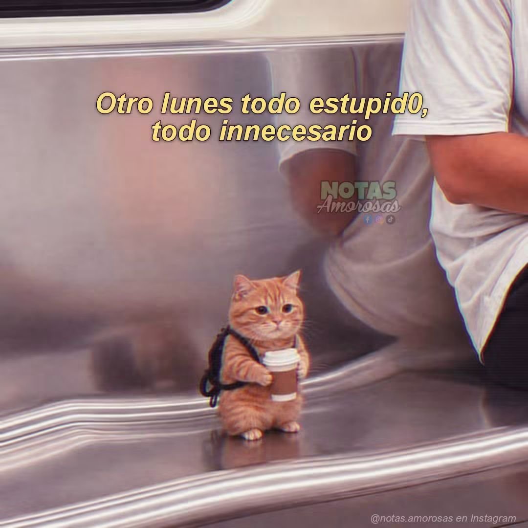 JonathanStark27's tweet photo. Tengo sueño https://t.co/nggJ5rGQev