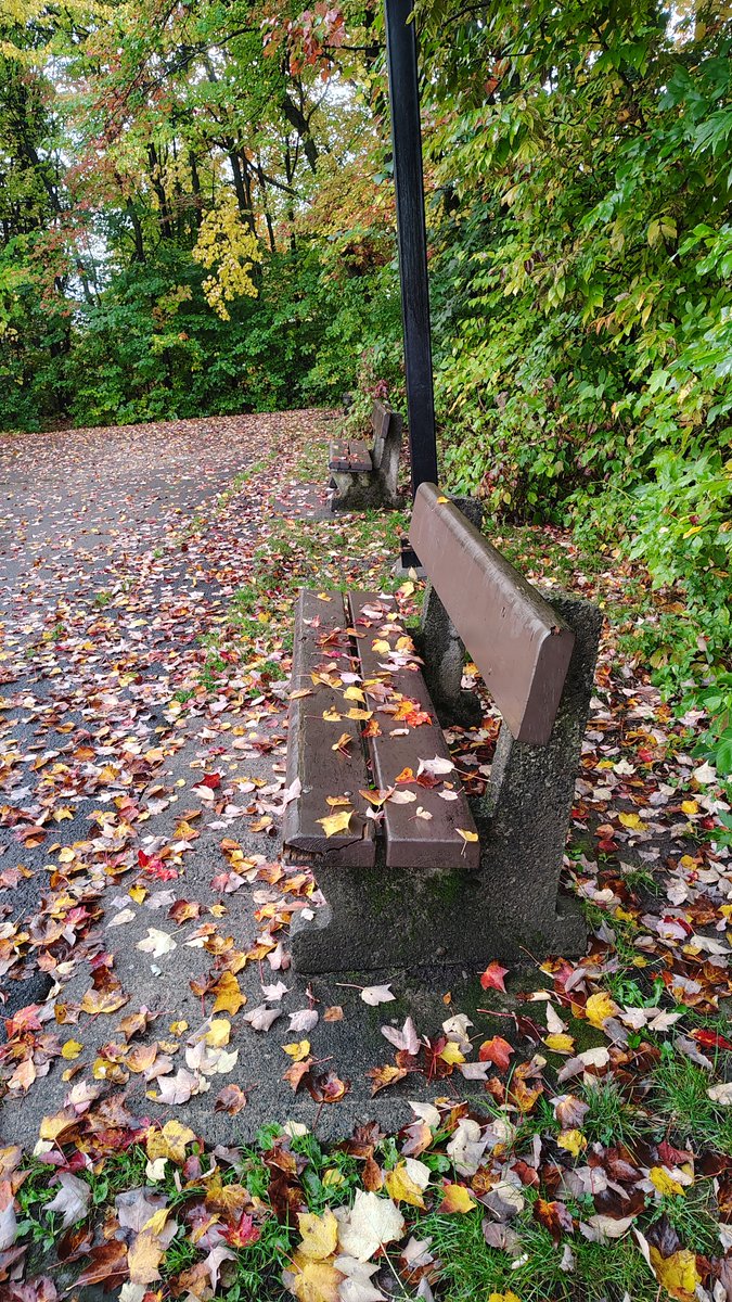 manialolita's tweet photo. #Automne2026💛🧡❤️
#Quebec
je t'aime ⚜️ https://t.co/Fe10uVc2xi