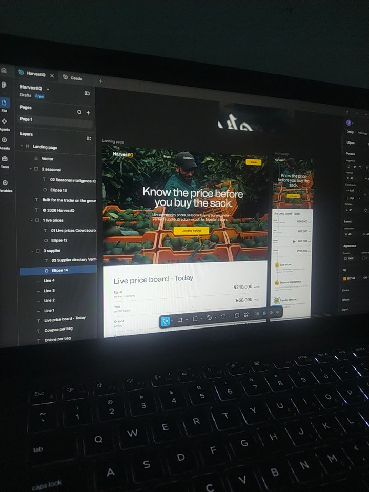 GlimpseTwice's tweet photo. I've decided to start learn web design, may probably go into UI/UX fully going forward. https://t.co/5Im0Z6wIUn