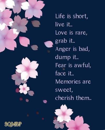 PVLGroup's tweet photo. Monday Motivation:   
#monday #mondaymotivation #inspiration https://t.co/xWRjX7m1zT