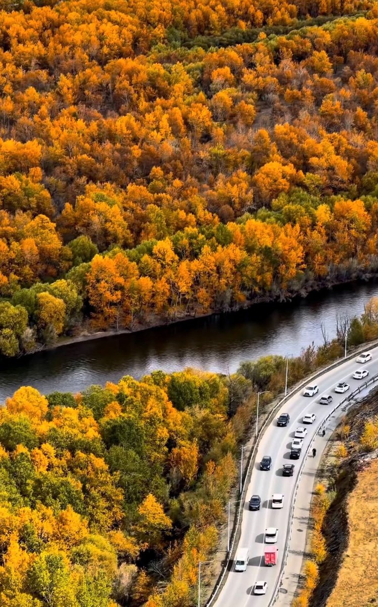 taradara77's tweet photo. Гоё авчээ 🍁🍁🍂🍂 https://t.co/hvODyqk0NA