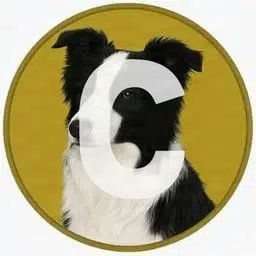 Quantadevss's tweet photo. I have found the official Dog of AI..

This has somehow never ran before its such a good narrative.

I asked every AI what its Favourite dog breed is and they all came up with the same Answer.

Grok, Claude and Gemini all said The Border Collie is its favourite

Open AI said Golden retriever closely followed by the Border Collie

They all have one thing in Common they Love the Border Collie and each one says its because they are highly intelligent and insanly smart.

Corgi is just a company that makes ETF's it is definetly not trhe Dog of AI.
$COLLIE is short for Border Collie

PROOF
https://t.co/ibEiPKEiHt

https://t.co/47cbSwHkct

https://t.co/j6HcKo6MCg

https://t.co/tzQn5aosFm