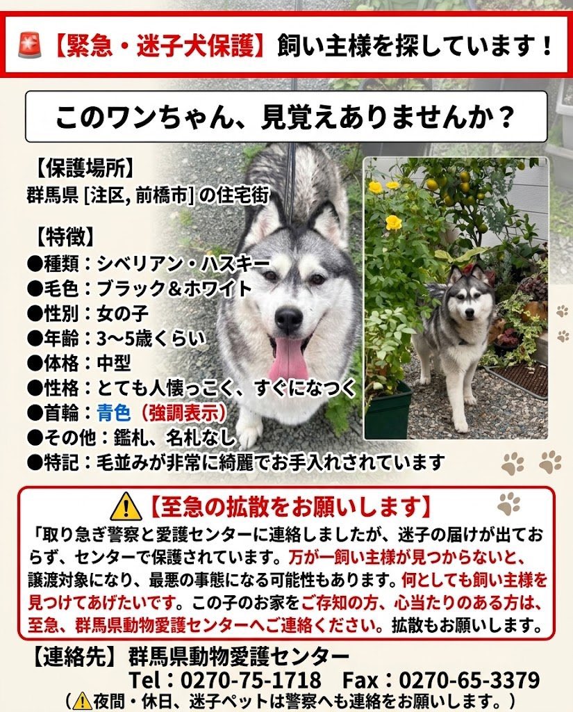 LILY555508's tweet photo. 群馬県の迷い犬です。
白黒のハスキーの女の子です。

拡散よろしくお願いします🙇‍♀️💦 https://t.co/XvGr3KKIb3