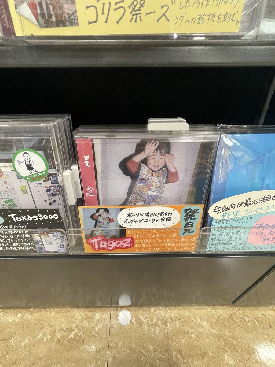 mlqin_'s tweet photo. この前、野生（？）のTogozを発見！💡
見つかっちゃった感が強くてカワイイ https://t.co/LS1lXRxt69