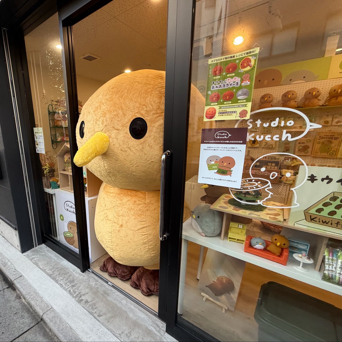 kucch_oja's tweet photo. キウイくんには、とてつもなくビッグサイズが存在します。

ただ、規格外のデカさ故に
なかなか登場できません。

studio Kucchだと商品なぎ倒しちゃうし、
もはや店から出ることができません…笑

そんなビッグキウイくんが久々に登場するよ。
ぜひ10月17・18日あけておいてね…🥝
詳細はまた後日お知らせします〜！