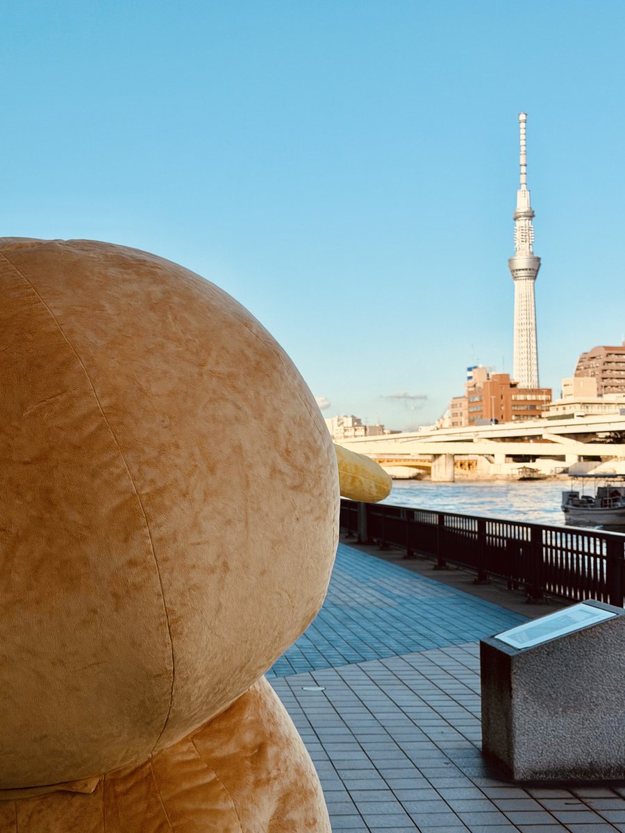 kucch_oja's tweet photo. キウイくんには、とてつもなくビッグサイズが存在します。

ただ、規格外のデカさ故に
なかなか登場できません。

studio Kucchだと商品なぎ倒しちゃうし、
もはや店から出ることができません…笑

そんなビッグキウイくんが久々に登場するよ。
ぜひ10月17・18日あけておいてね…🥝
詳細はまた後日お知らせします〜！
