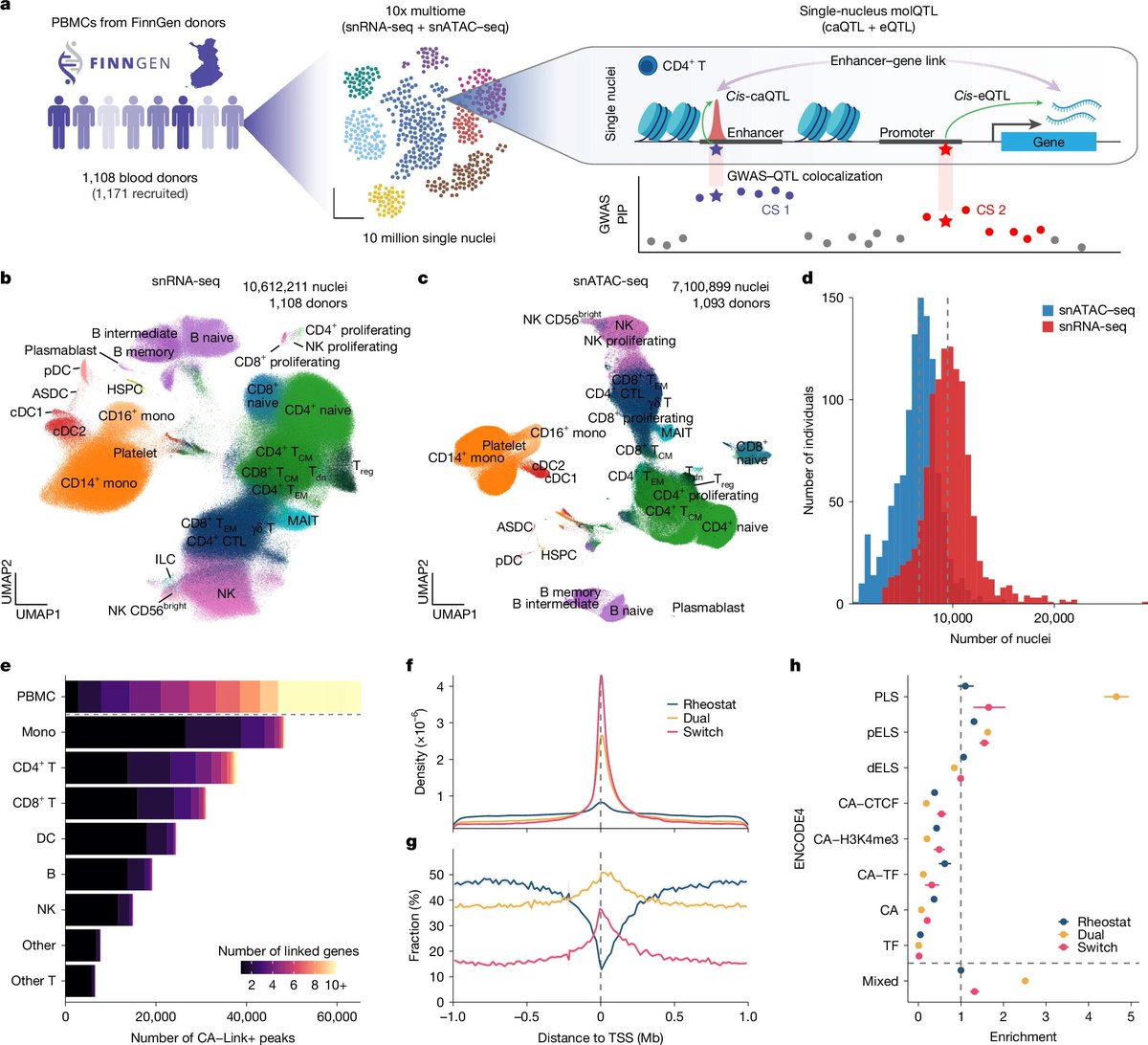 tangming2005's tweet photo. Population-scale immune multiome atlas reveals regulatory disease mechanisms https://t.co/8aKpZb8Orm https://t.co/A5nZgJGHlz