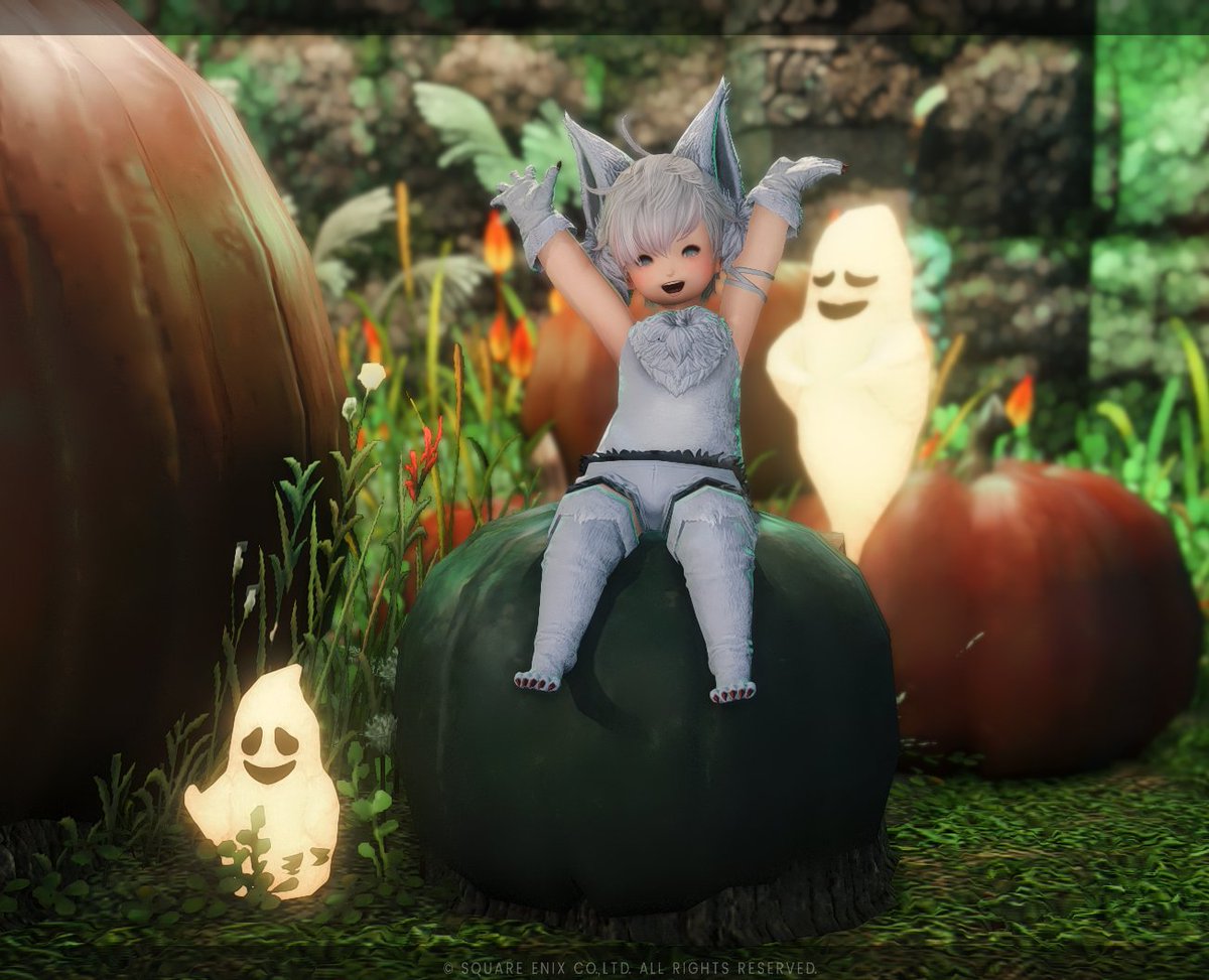 ShChate's tweet photo. ハロウィン仕様に一部ブース模様替えしました🎃
カボチャブースは膝だっこも可能です(座り方はツリーに続きます)
またお庭のカボチャにも3人腰かけられる場所があります

Gaia / Durandal ミスト･ヴィレッジ17区37番  
#しゃとすたじお https://t.co/3HEuAvUcLI