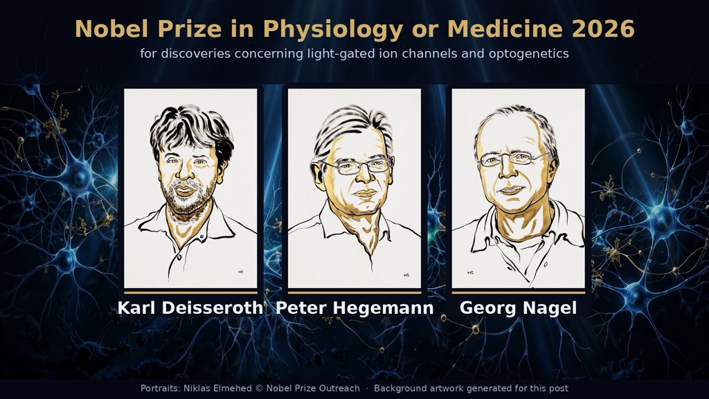 Kooooomcc's tweet photo. 🧠 BREAKING: The 2026 Nobel Prize in Physiology or Medicine goes to Karl Deisseroth, Peter Hegemann & Georg Nagel — for giving science a light switch for the brain.

It started with pond algae. In the 1990s, Hegemann wondered how a single-celled alga swims toward light — and found channelrhodopsin, a light-sensitive protein. With Nagel, he showed it works as an ion channel: a switch opened by light.

Then Deisseroth did the unthinkable. In 2005, he put that algal protein into living nerve cells — and turned them on with blue light. Optogenetics was born.

Today it's used in labs worldwide to map the circuits behind memory, emotion and behavior. It's in clinical trials to restore vision in retinitis pigmentosa, and may one day upgrade cochlear implants.

From a curious question about algae to a Nobel Prize. This is why basic science matters. 🔬

#NobelPrize #Optogenetics #Neuroscience