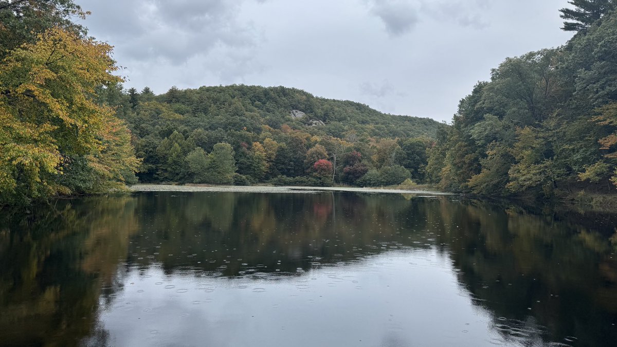 zrf94's tweet photo. Fall https://t.co/6H0yjZ2OKV