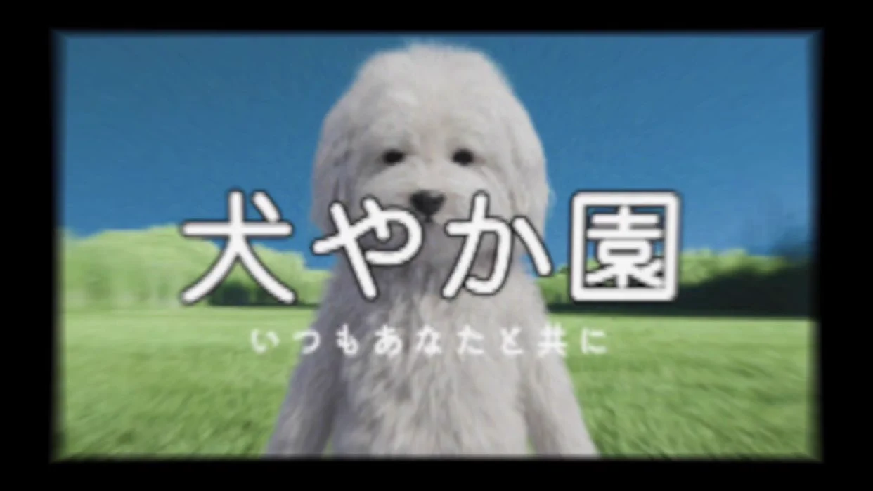 ْ犬 記録 on X: 