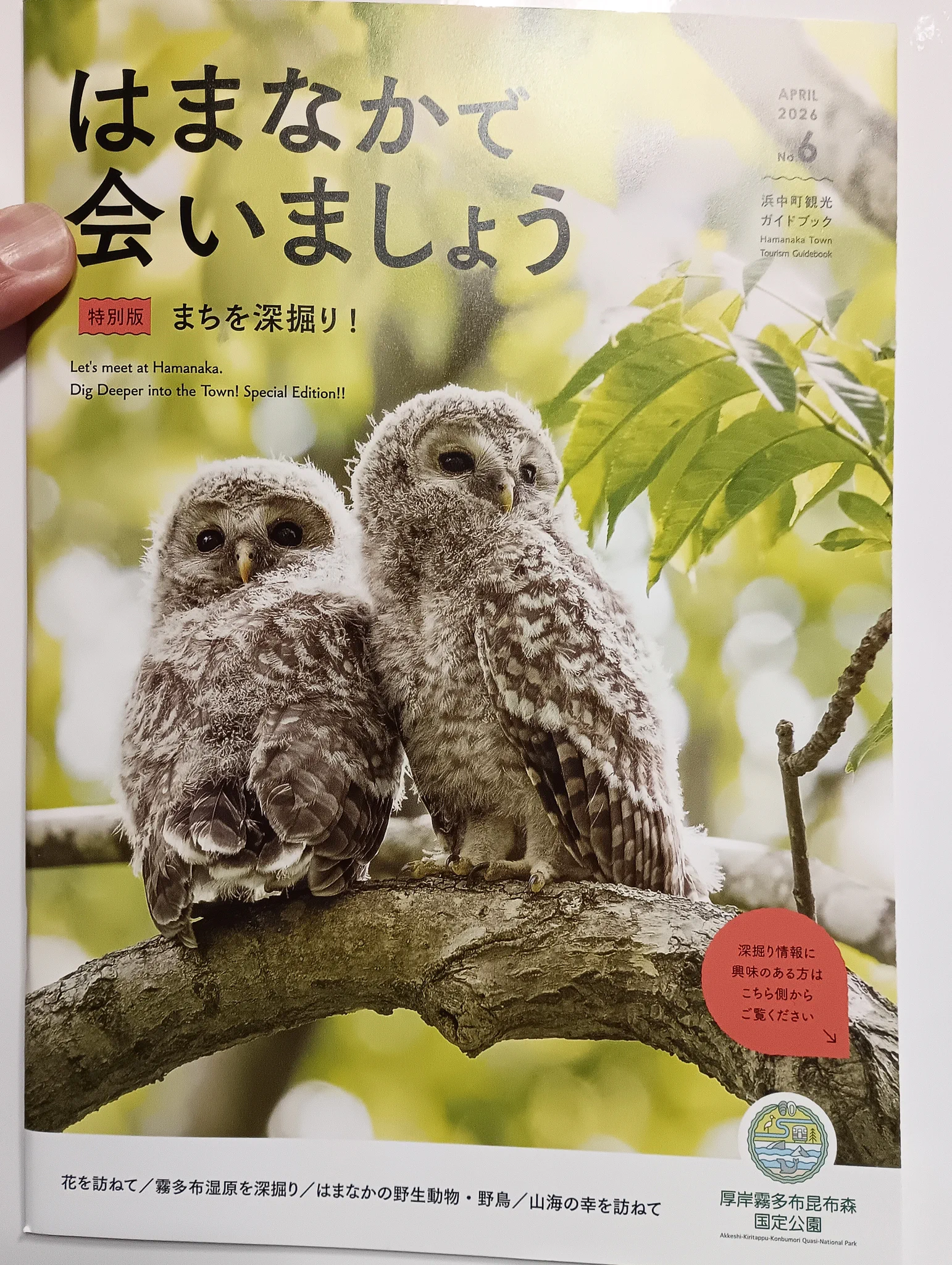Nakamichi 色々まとめ売り 説明書パンフ付き ワンオーナー品 銭形@小樽（しばらく多忙） on X: 