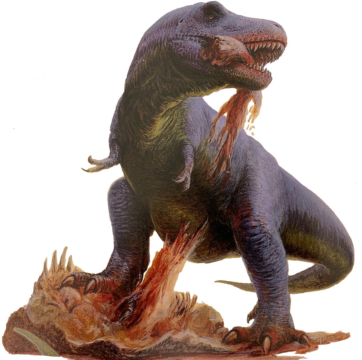 IsaiahCTorre's tweet photo. Happy 121st to the King of Kings: Tyrannosaurus rex! 

Artwork below by:
- Patrick O'Brien
- Aibou Tanaka
- Alex Ebel
- Ted Rechlin https://t.co/YjnBLrPdmM