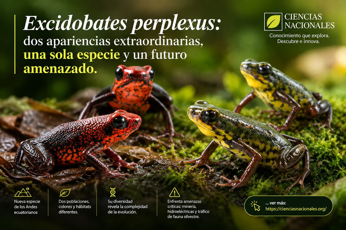 ciencias_cns's tweet photo. https://t.co/9N54X4q0vq
