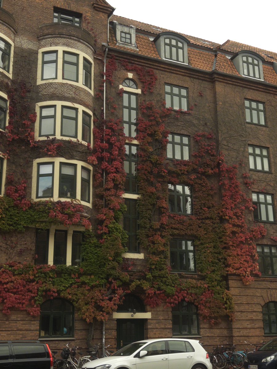 swirlylambz's tweet photo. autumn hehe https://t.co/P6lcposY1a